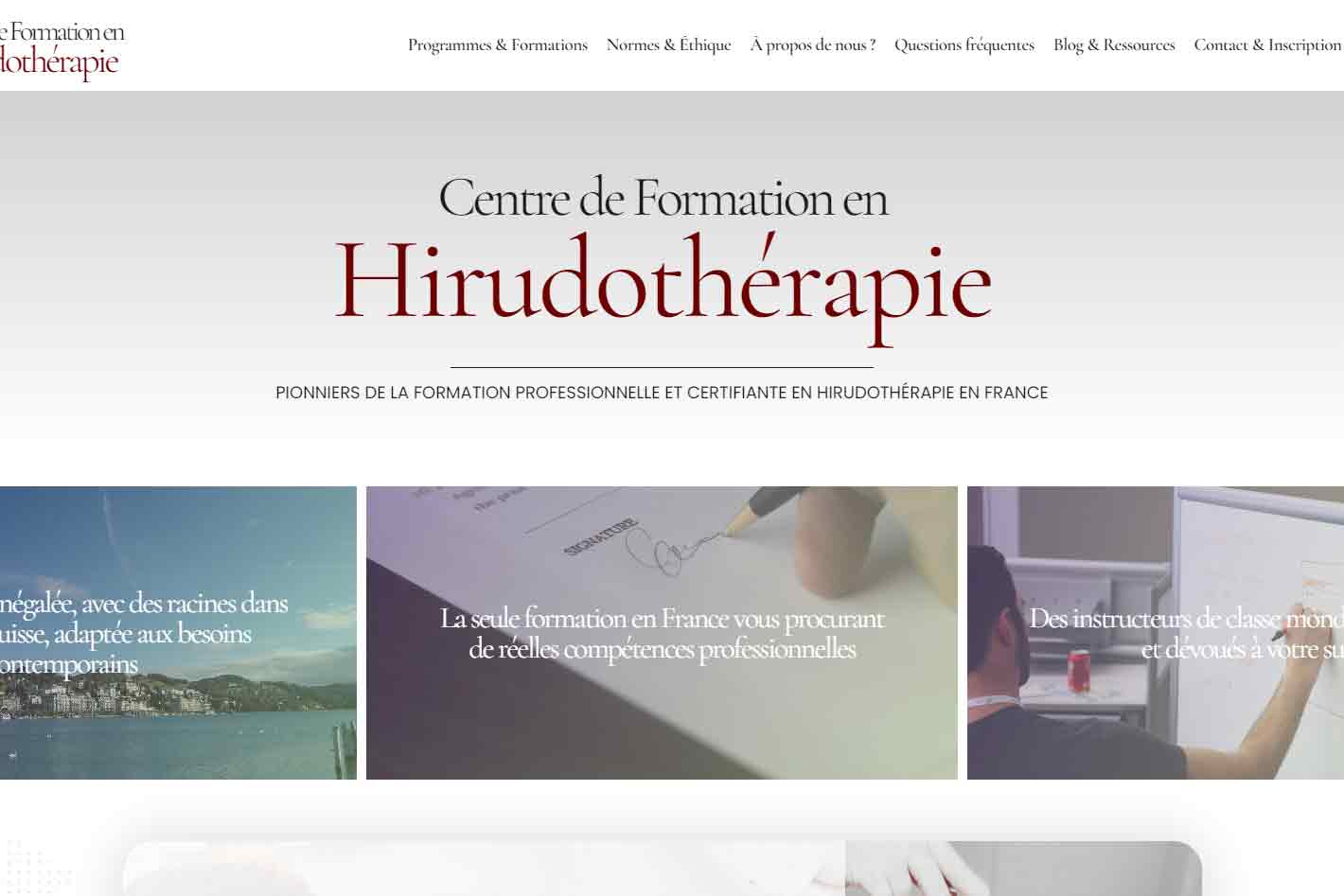 centrehirudotherapie.fr